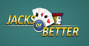 6z bet