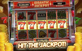 6z bet