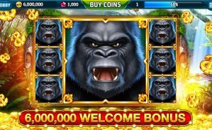 6z bet