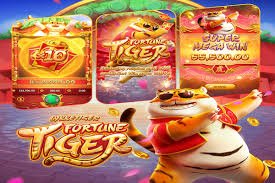 6z bet
