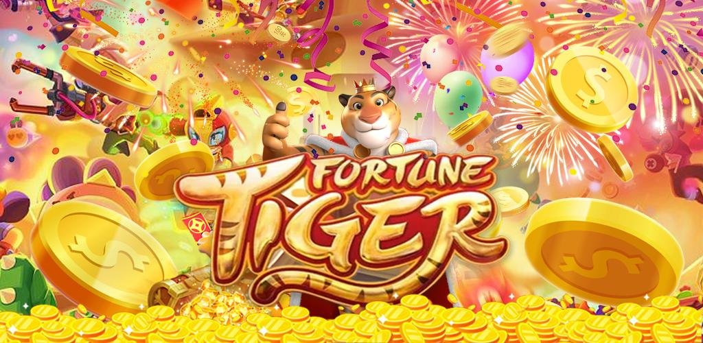 6z bet